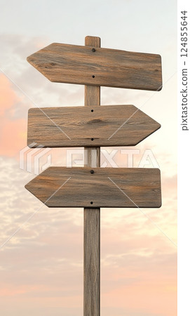 Three blank wooden arrow signs pointing in different directions against a cloudy sunset sky represent choice, decision making, and finding the right path 124855644