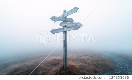Wooden signpost showing multiple directions in a foggy landscape, creating a concept of choice, decision making, and the fear of better options - fobo - 124855986