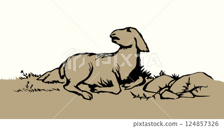 Vector drawing. The sheep got lost in the field Vector drawing. The sheep got lost in the field 124857326