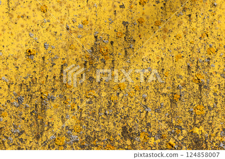 Vivid close-up photo of a yellow painted metal wall with lichn and rust Vivid close-up photo of a yellow painted metal wall with lichn and rust 124858007