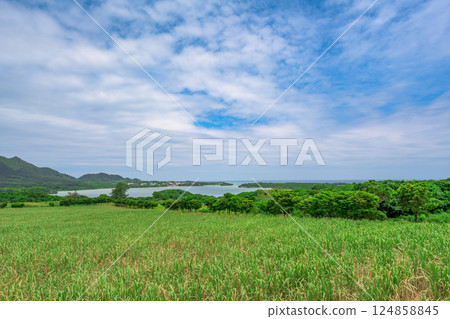 A view of Kabira Bay where the vast grassland and the sea blend in harmony A view of Kabira Bay where the vast grassland and the sea blend in harmony 124858845
