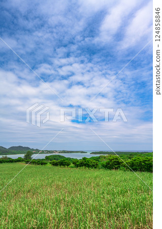 廣闊的草原與大海融為一體的川平灣景色 124858846