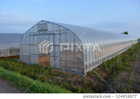 Agricultural plastic house 124858877
