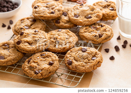 Chocolate chip cookies with pecan nuts, freshly baked cookies on a cooling rack 124859256