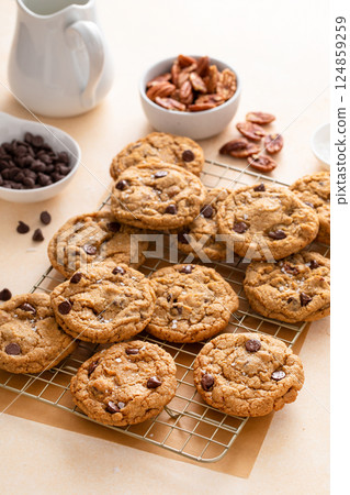 Chocolate chip cookies with pecan nuts, freshly baked cookies on a cooling rack 124859259
