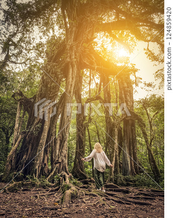 Woman near Giant Fig Tree in Bali Botanic Garden 124859420