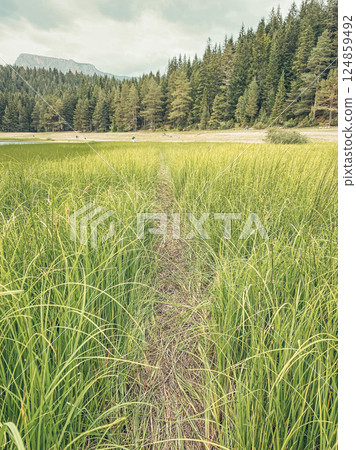 Wonderful view on forest and mountains at cloudy day in the national park Durmitor 124859492