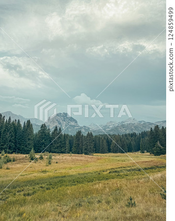 Wonderful view on forest and mountains at cloudy day in the national park Durmitor Wonderful view on forest and mountains at cloudy day in the national park Durmitor 124859499
