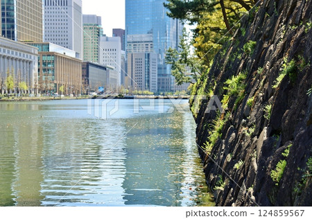 The moat of the Imperial Palace and the Marunouchi building district 124859567