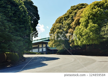 Imperial Palace 124859584