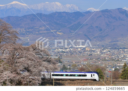春天，行駛在櫻花與南阿爾卑斯山美景交相輝映的甲府盆地的E353系特快列車“梓”/“甲斐”號_照片拍攝於2025年4月5日 124859665