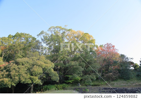 Autumn park Autumn park 124859882