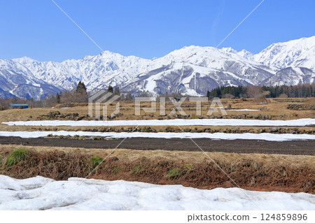 白馬山麓的春雪融化 白馬山麓的春雪融化 124859896