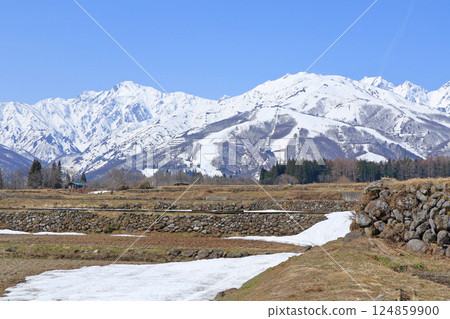Spring melts in the foothills of Mt. Hakuba Spring melts in the foothills of Mt. Hakuba 124859900