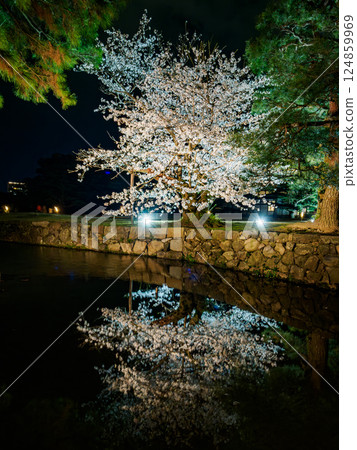 Spring cherry blossoms reflecting on the water surface, illuminated at night Spring cherry blossoms reflecting on the water surface, illuminated at night 124859969