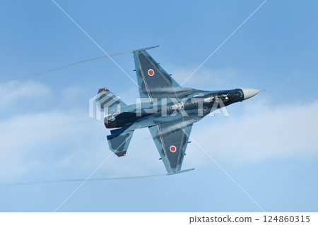空中自衛隊F-2戰鬥機 124860315