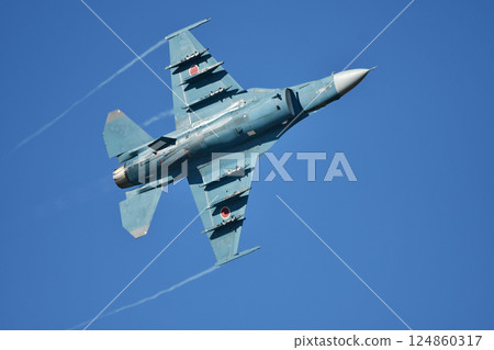 Air Self Defense Force F-2 Fighter 124860317