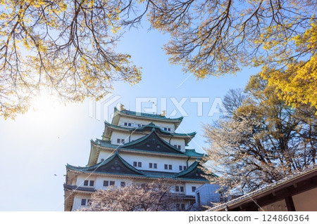 Cherry blossoms swaying in the spring breeze | Scenery of Nagoya Castle 124860364