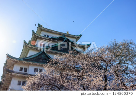 Cherry blossoms swaying in the spring breeze | Scenery of Nagoya Castle Cherry blossoms swaying in the spring breeze | Scenery of Nagoya Castle 124860370
