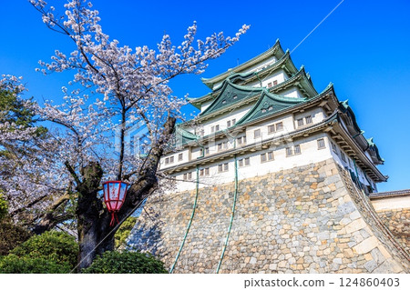 Cherry blossoms swaying in the spring breeze | Scenery of Nagoya Castle Cherry blossoms swaying in the spring breeze | Scenery of Nagoya Castle 124860403