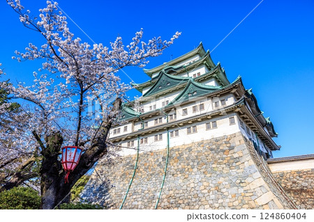 Cherry blossoms swaying in the spring breeze | Scenery of Nagoya Castle Cherry blossoms swaying in the spring breeze | Scenery of Nagoya Castle 124860404