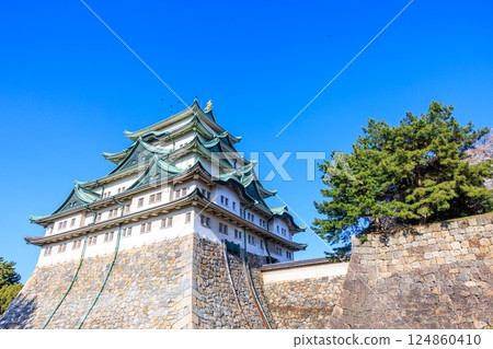 Cherry blossoms swaying in the spring breeze | Scenery of Nagoya Castle 124860410