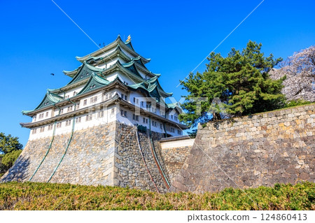 Cherry blossoms swaying in the spring breeze | Scenery of Nagoya Castle Cherry blossoms swaying in the spring breeze | Scenery of Nagoya Castle 124860413