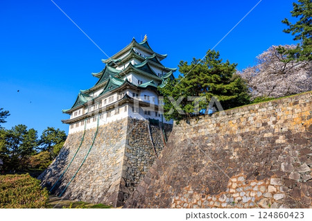 Cherry blossoms swaying in the spring breeze | Scenery of Nagoya Castle 124860423