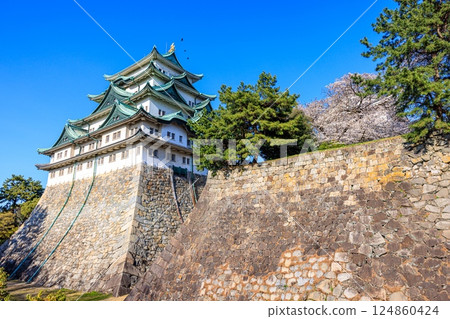 Cherry blossoms swaying in the spring breeze | Scenery of Nagoya Castle 124860424