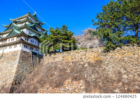 春風搖曳的櫻花 |名古屋城風景 124860425