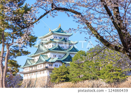 春風搖曳的櫻花 |名古屋城風景 124860439