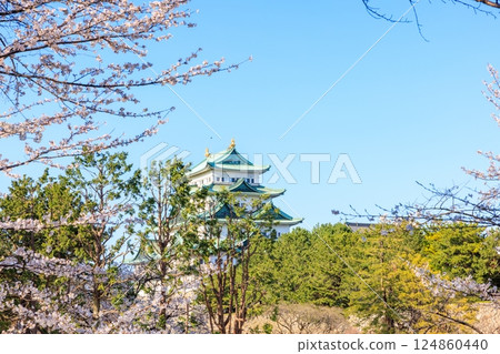 春風搖曳的櫻花 |名古屋城風景 124860440