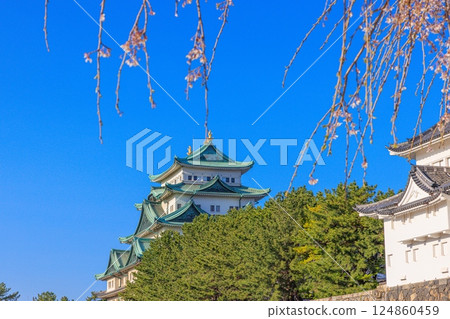 春風搖曳的櫻花 |名古屋城風景 124860459