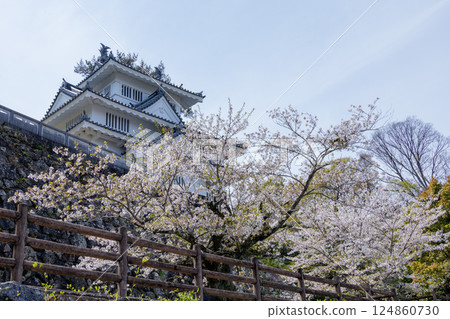 豐橋吉田城鐵塔與櫻花 豐橋吉田城鐵塔與櫻花 124860730