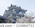 豐橋吉田城鐵塔與櫻花 124860731