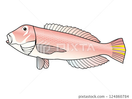 A simple outline of a tilefish 124860784
