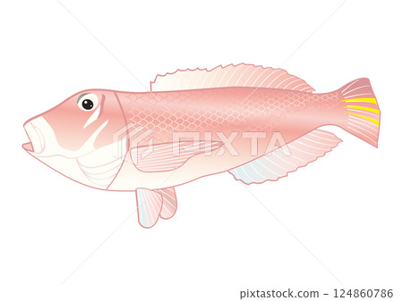 Simple swimming tilefish 124860786