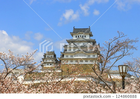 春天的姬路城（國寶，姬路市） 124860888