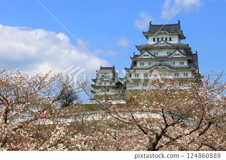Himeji Castle in Spring (National Treasure, Himeji City) Himeji Castle in Spring (National Treasure, Himeji City) 124860889