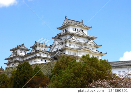 Himeji Castle in Spring (National Treasure, Himeji City) 124860891