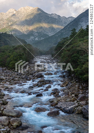 寒冷的早晨陽光、宮之浦川溪谷、屋久島、阿爾卑斯山近海（冬季） 124861127