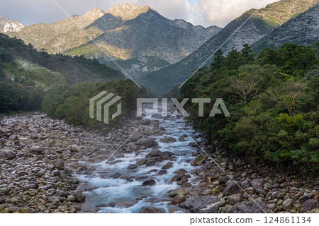 寒流襲擊宮之浦川谷，屋久島阿爾卑斯山的日出 124861134