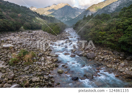A cold wave hits the Miyanoura River Valley and the sunrise in the Yakushima Alps A cold wave hits the Miyanoura River Valley and the sunrise in the Yakushima Alps 124861135