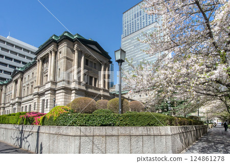 日本銀行總行和江戶櫻花街的櫻花 124861278