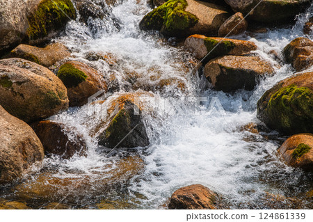Flowing rocks, Miyanoura River Valley, Yakushima, Offshore Alps (Spring) 124861339
