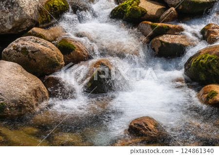 Flowing rocks, Miyanoura River Valley, Yakushima, Offshore Alps (Spring) 124861340
