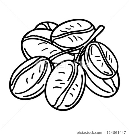Coffee beans on branch, outline icon. Hand drawn black line sketch on white background. Logo template. Vector illustration Coffee beans on branch, outline icon. Hand drawn black line sketch on white background. Logo template. Vector illustration 124861447