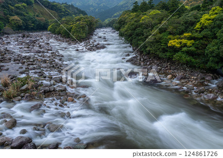 Fresh greenery and river mist in the Miyanoura River Valley, Yakushima, offshore Alps Fresh greenery and river mist in the Miyanoura River Valley, Yakushima, offshore Alps 124861726