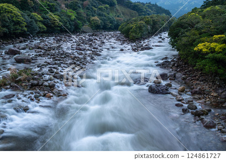 Fresh greenery and river mist in the Miyanoura River Valley, Yakushima, offshore Alps Fresh greenery and river mist in the Miyanoura River Valley, Yakushima, offshore Alps 124861727