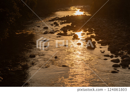 Spring in the Yakushima Offshore Alps (March) Environmental and ecological image 124861803
